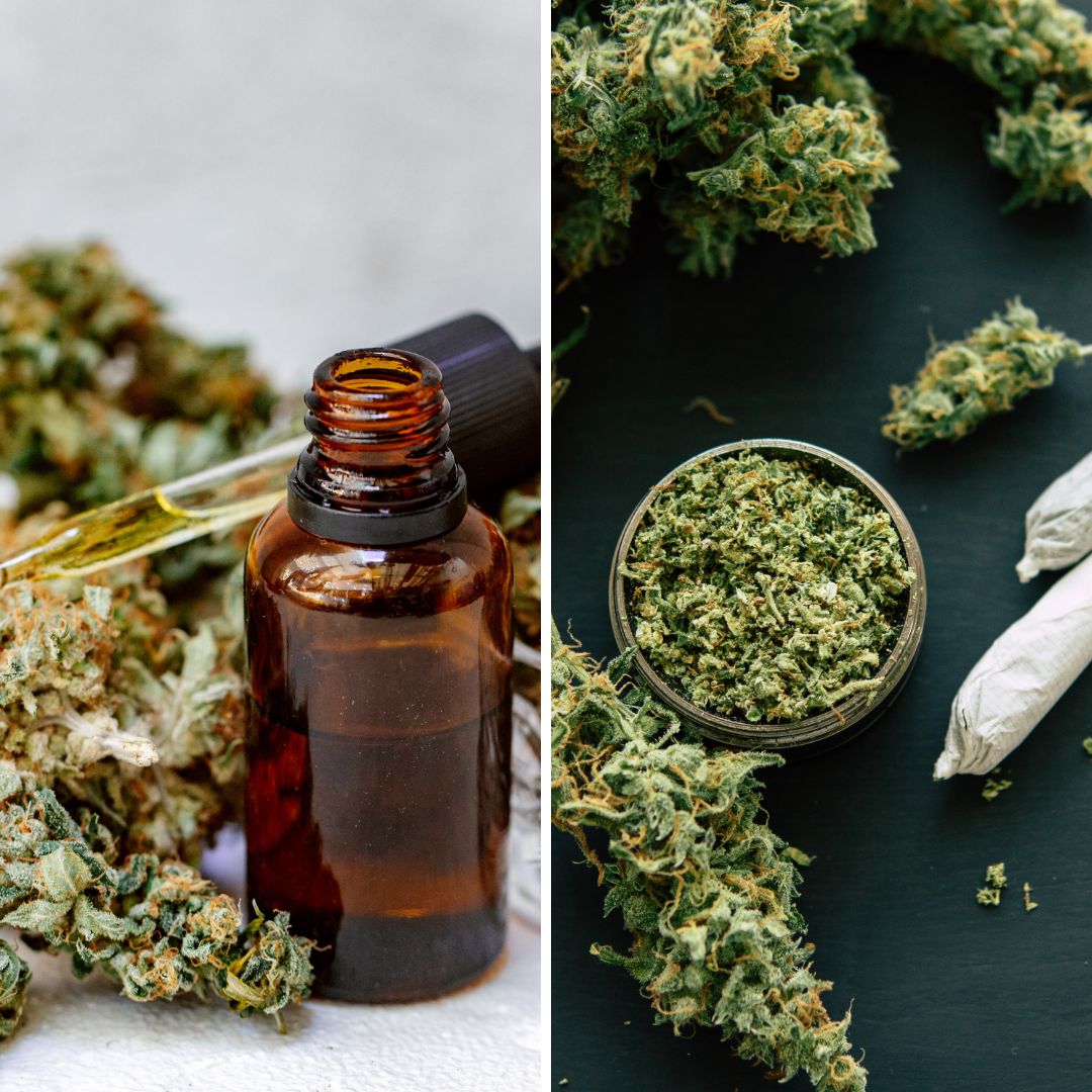 Unraveling the Differences of CBD and THC